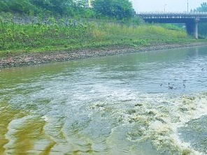 保定白沟污水清运多少钱